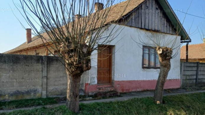 Családi Ház rendezett környezettel!