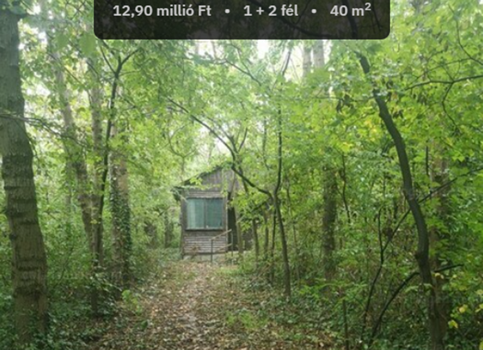 Pace, liniște, locație bună – toate într-un singur loc