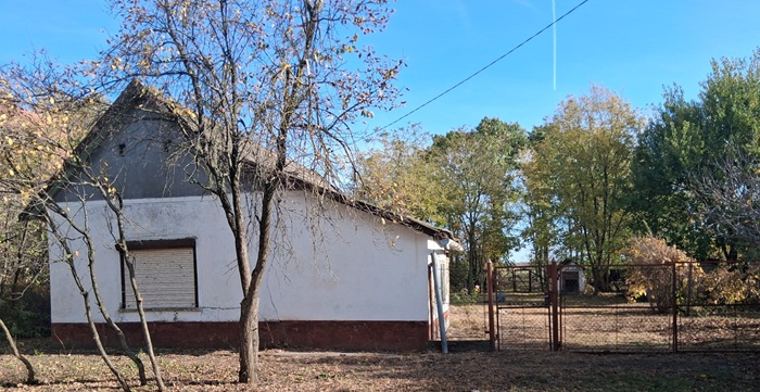 🏠 Casa ieftina de vânzare in Bătania